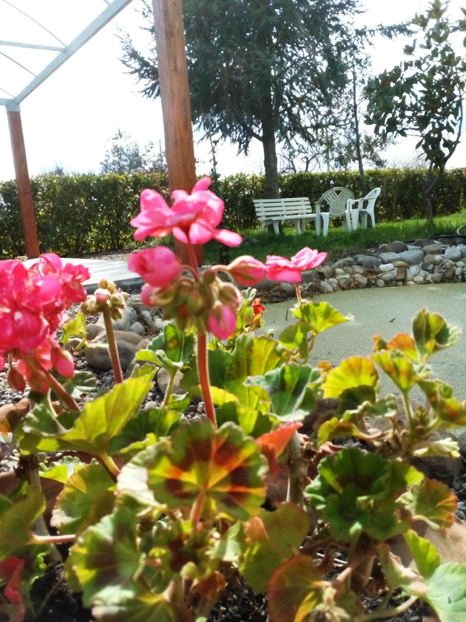 Dimora Antonianna In Valle D'Itria 洛科罗通多 外观 照片