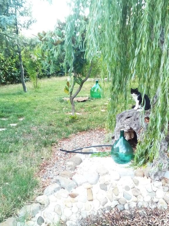 Dimora Antonianna In Valle D'Itria 洛科罗通多 外观 照片